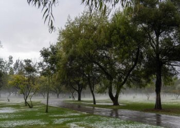 Alerta meteorológica: tormentas intensas y ráfagas de viento afectan a la Provincia de Buenos Aires