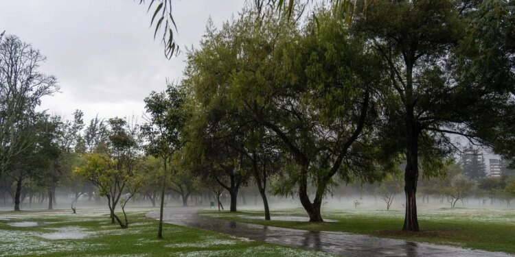 Alerta meteorológica: tormentas intensas y ráfagas de viento afectan a la Provincia de Buenos Aires