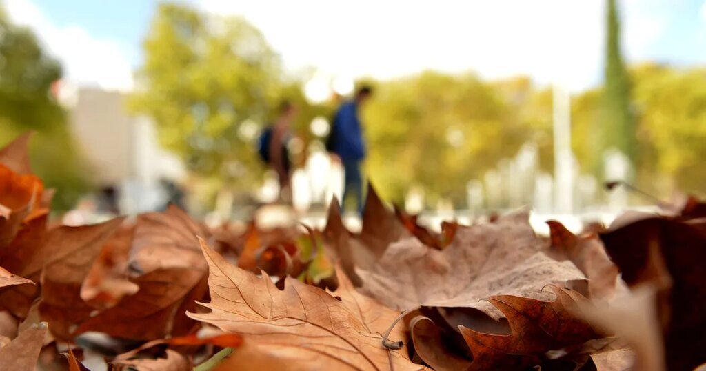 El SMN anticipa un otoño más cálido y con lluvias normales en la provincia de Buenos Aires