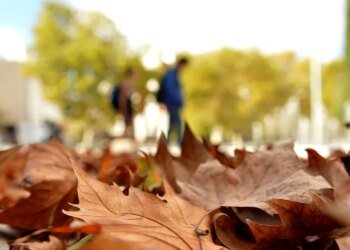 El SMN anticipa un otoño más cálido y con lluvias normales en la provincia de Buenos Aires