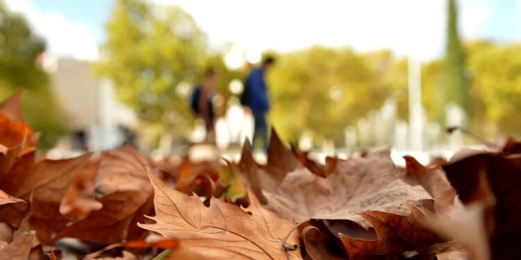 El SMN anticipa un otoño más cálido y con lluvias normales en la provincia de Buenos Aires