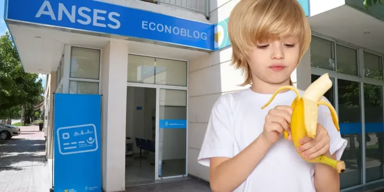 Tarjeta Alimentar: Anses mantiene montos y nadie sabe cuánto se cobrará en abril de 2026