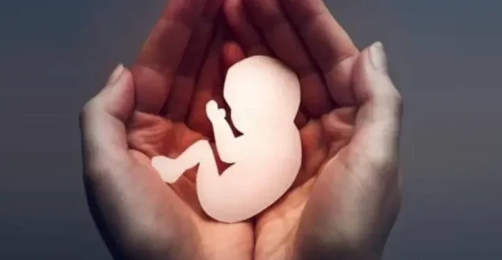 El proyecto que busca darle nombre y lugar a los hijos que no llegaron a nacer