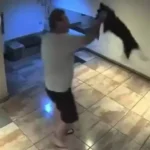 Detuvieron a un hombre por lanzar brutalmente a su perro en un edificio de Palermo