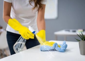 Reunión clave para definir el futuro salarial del personal de casas particulares en Argentina