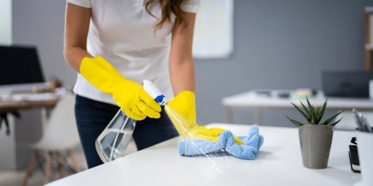 Reunión clave para definir el futuro salarial del personal de casas particulares en Argentina