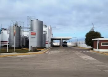 La Corte Suprema falló a favor de la láctea Verónica en demanda contra la Provincia de Buenos Aires