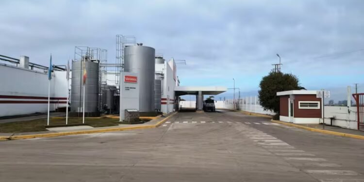 La Corte Suprema falló a favor de la láctea Verónica en demanda contra la Provincia de Buenos Aires