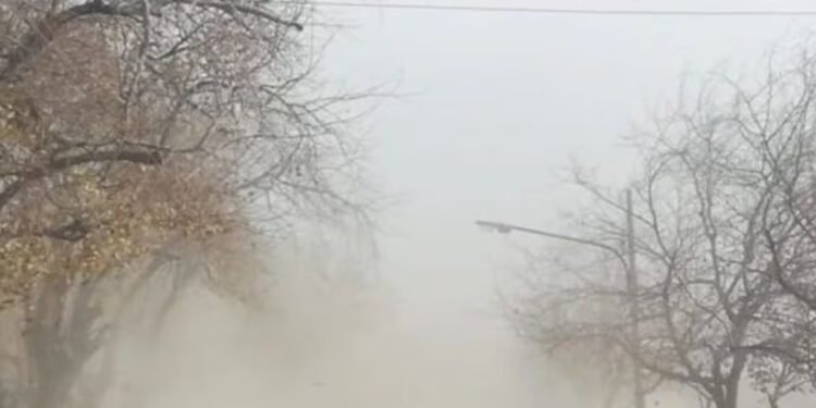 Alerta en la Provincia de Buenos Aires: ráfagas de viento de hasta 100 km/h este domingo