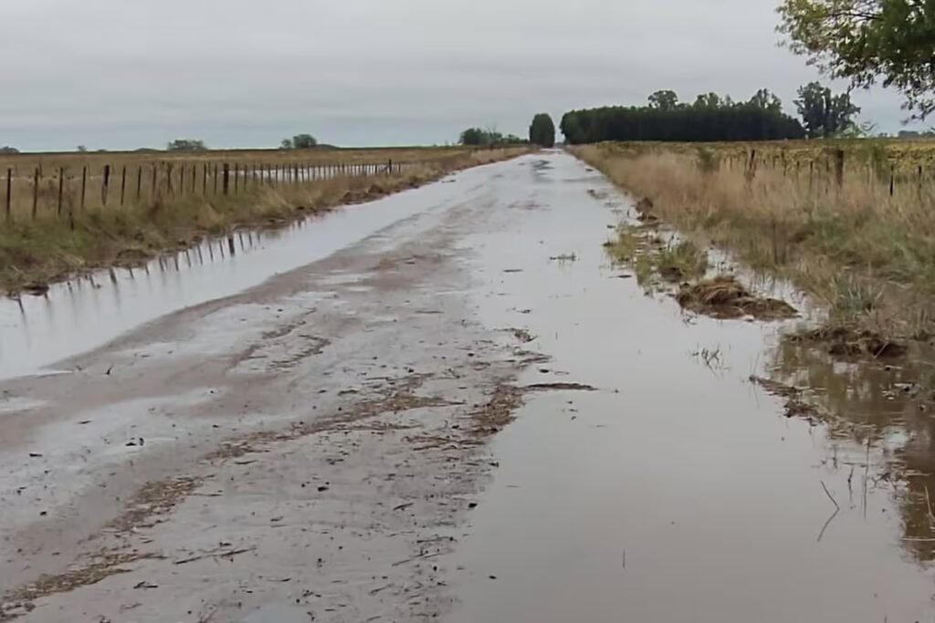 Un combo de lluvias y paros complica la cosecha en la Provincia de Buenos Aires