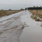 Un combo de lluvias y paros complica la cosecha en la Provincia de Buenos Aires