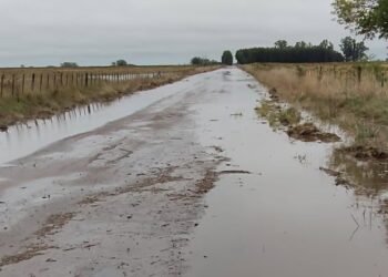 Un combo de lluvias y paros complica la cosecha en la Provincia de Buenos Aires