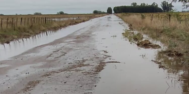 Un combo de lluvias y paros complica la cosecha en la Provincia de Buenos Aires