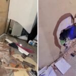 Tres delincuentes detenidos al intentar robar una lotería en Recoleta tras hacer un boquete