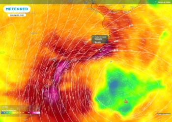 Fuerte temporal en la provincia de Buenos Aires: vientos de hasta 100 km/h este domingo