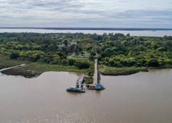La provincia de Buenos Aires impulsa la conservación de bosques nativos en Isla Martín García