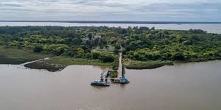 La provincia de Buenos Aires impulsa la conservación de bosques nativos en Isla Martín García