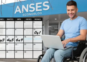 Mi Anses confirmó el cronograma de pagos para Pensiones no Contributivas en abril 2026