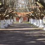 Rawson, el encantador pueblo de la Provincia de Buenos Aires con su famoso alfajor artesanal
