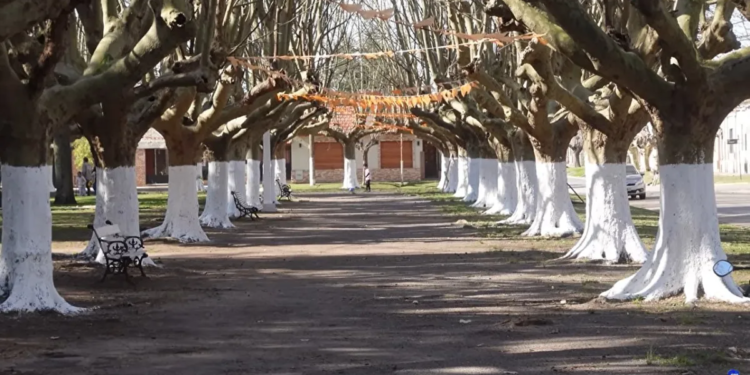 Rawson, el encantador pueblo de la Provincia de Buenos Aires con su famoso alfajor artesanal