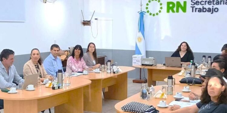 Río Negro: Proponen reforma de paritarias docentes para mejorar el diálogo educativo