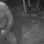 Acoso inquietante: un vecino intentó forzar la casa de su vecina y se masturbó en la puerta