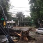 Temporal desata caos en el AMBA: calles anegadas y más de 16.000 hogares sin luz