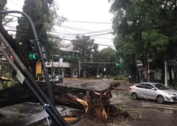 Temporal desata caos en el AMBA: calles anegadas y más de 16.000 hogares sin luz