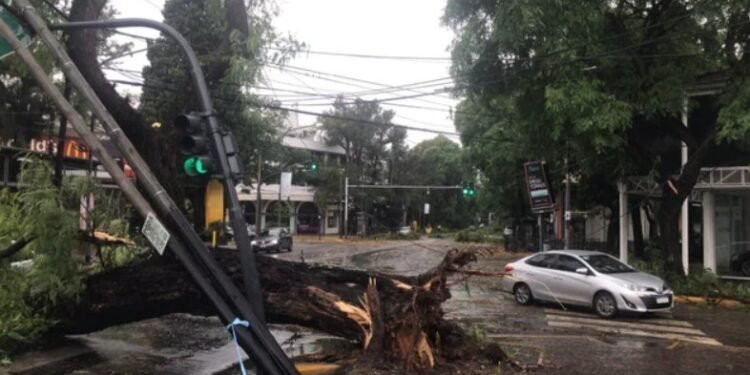 Temporal desata caos en el AMBA: calles anegadas y más de 16.000 hogares sin luz