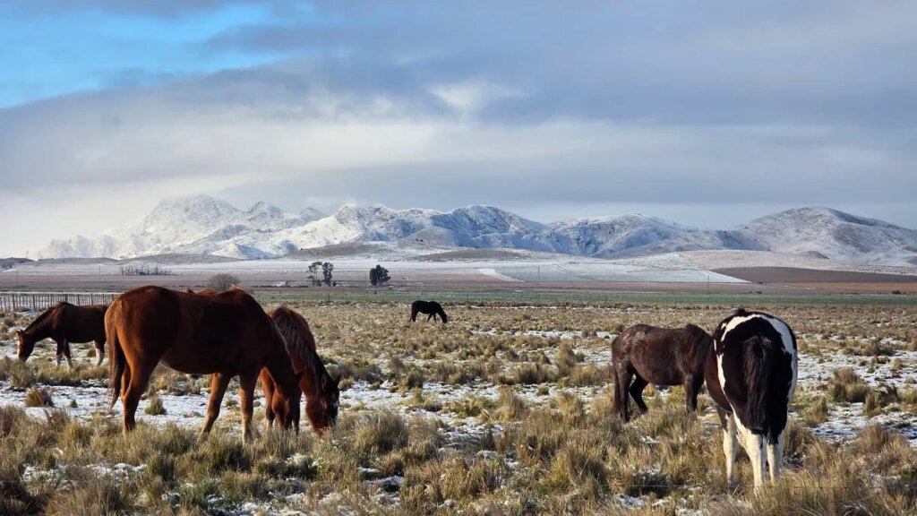 Descubrí Pigüé: el pueblo de la Provincia de Buenos Aires con encanto francés y sierras únicas