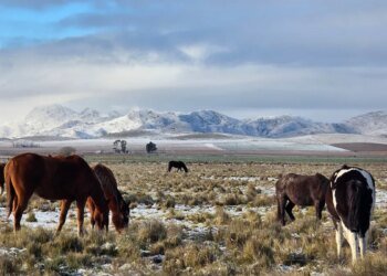 Descubrí Pigüé: el pueblo de la Provincia de Buenos Aires con encanto francés y sierras únicas