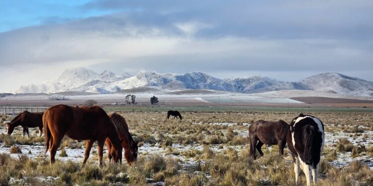 Descubrí Pigüé: el pueblo de la Provincia de Buenos Aires con encanto francés y sierras únicas