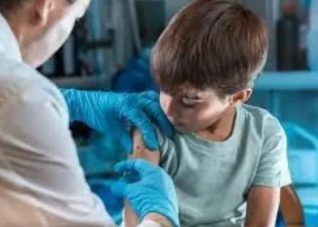 Mendoza: descubren venta de certificados falsos de vacunación a familias antivacunas