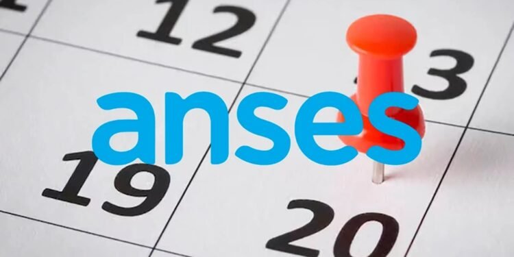 ANSES anunció los pagos de mayo: ¿cuánto se cobrará por jubilaciones y asignaciones?