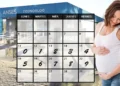Anses confirma calendario de pagos de la asignación por embarazo para mayo de 2026