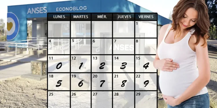 Anses confirma calendario de pagos de la asignación por embarazo para mayo de 2026