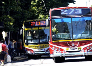 Aumentan las tarifas de transporte en la Provincia de Buenos Aires: ¿cuánto costará viajar?