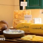 Descubrí la ruta del queso: dos paradas imperdibles en la Provincia de Buenos Aires