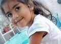 Imputan al abuelo de Guadalupe Lucero por abuso y piden investigar su vínculo con la desaparición