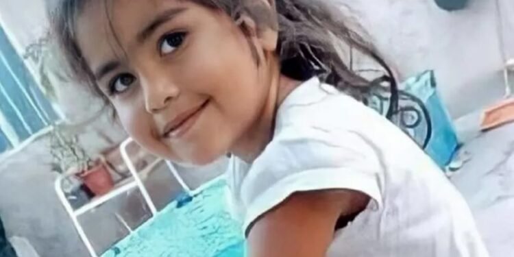 Imputan al abuelo de Guadalupe Lucero por abuso y piden investigar su vínculo con la desaparición
